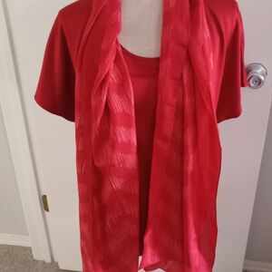 Eileen Fisher top and matching OS Shibori silk dyed zigzag scarf. Rust in color.